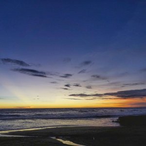 10895337_128597477514013_1213416767_n